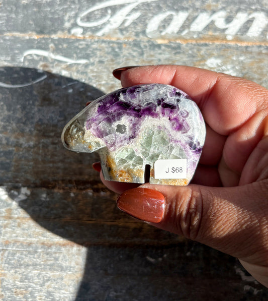 Gorgeous Fluorite Bear from Mexico | Opt J
