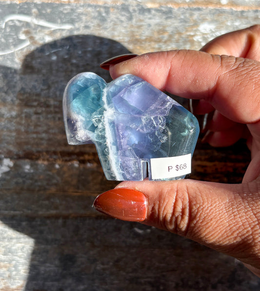 Gorgeous Fluorite Buffalo from Mexico | Opt P