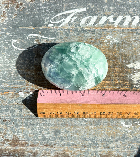 Gorgeous Fluorite Large Palm Stone from Mexico | Opt A
