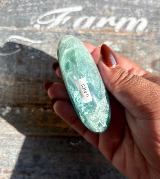 Gorgeous Fluorite Large Palm Stone from Mexico | Opt D