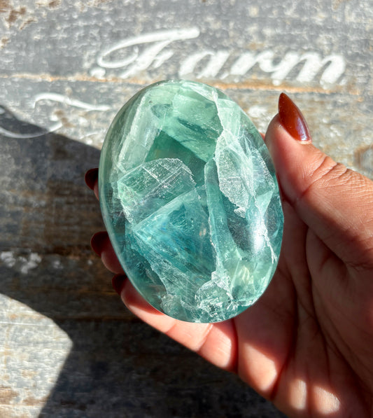 Gorgeous Fluorite Large Palm Stone from Mexico | Opt D