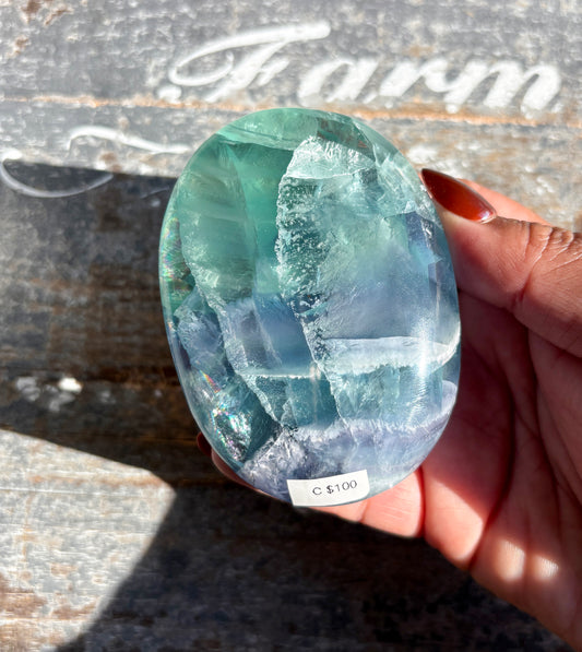 Gorgeous Fluorite Large Palm Stone from Mexico | Opt C
