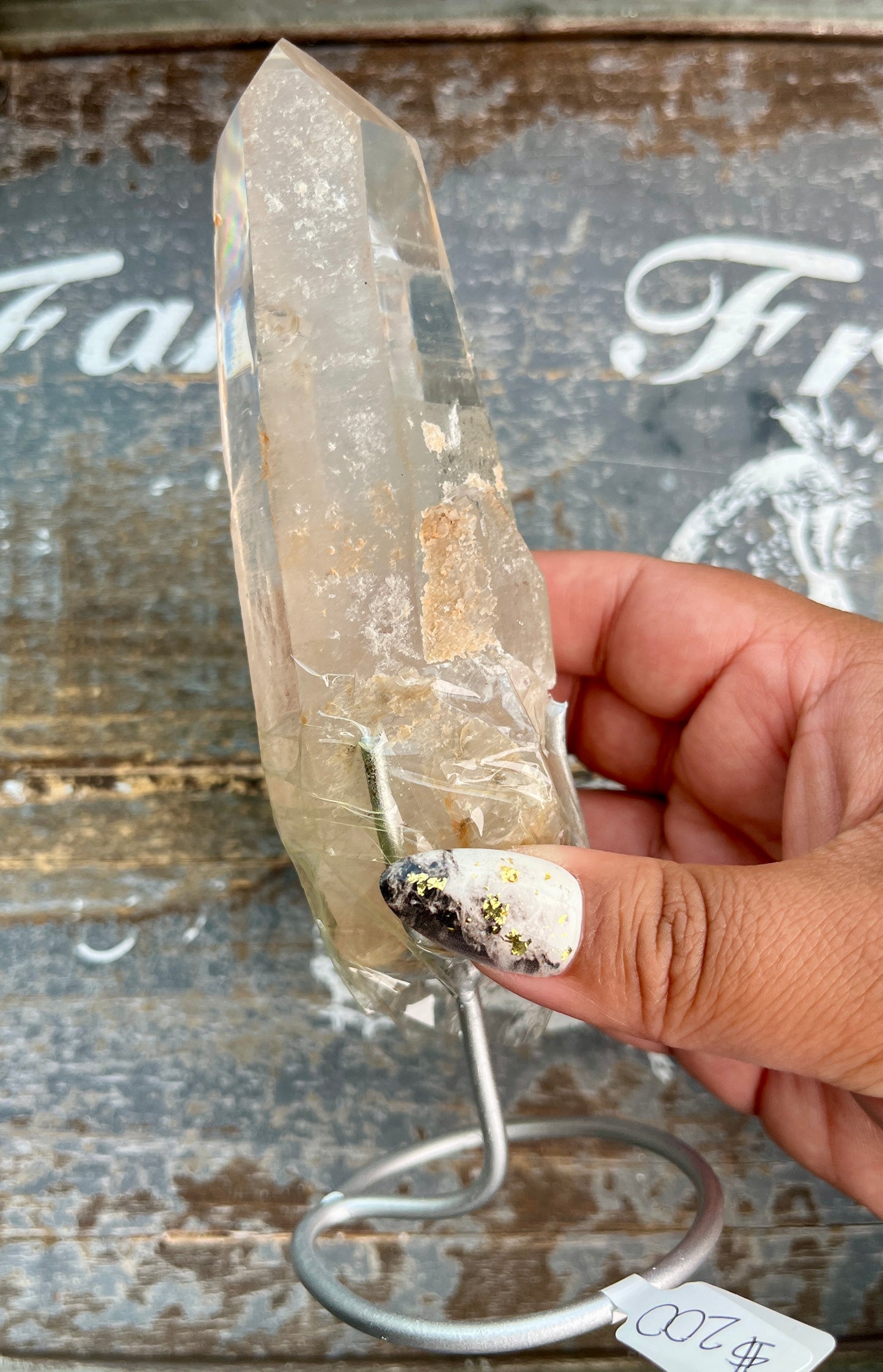 Gorgeous High Quality Lemurian on Custom Stand from Brazil