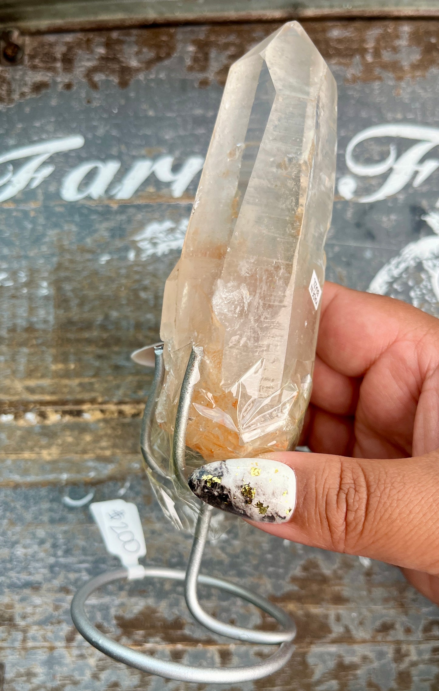 Gorgeous High Quality Lemurian on Custom Stand from Brazil