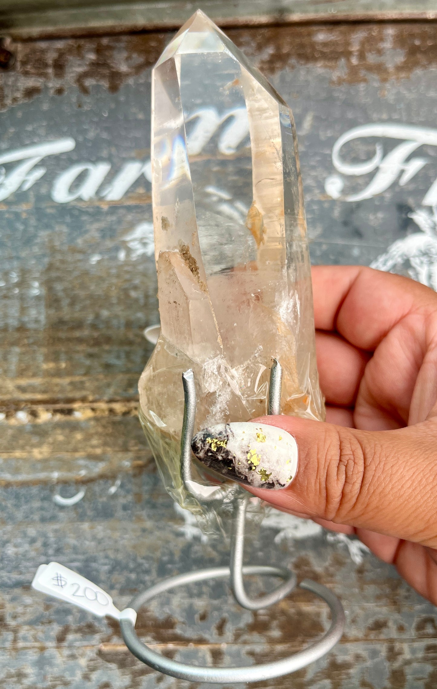 Gorgeous High Quality Lemurian on Custom Stand from Brazil