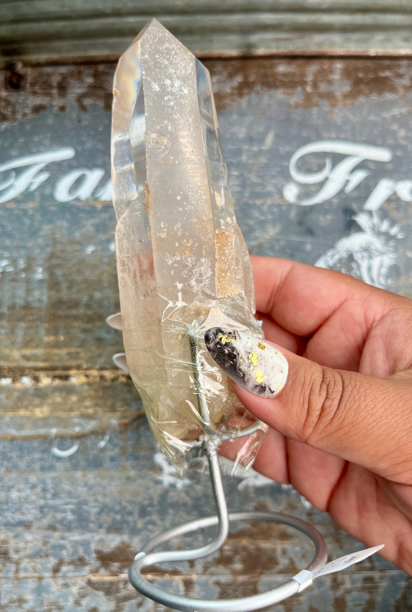 Gorgeous High Quality Lemurian on Custom Stand from Brazil