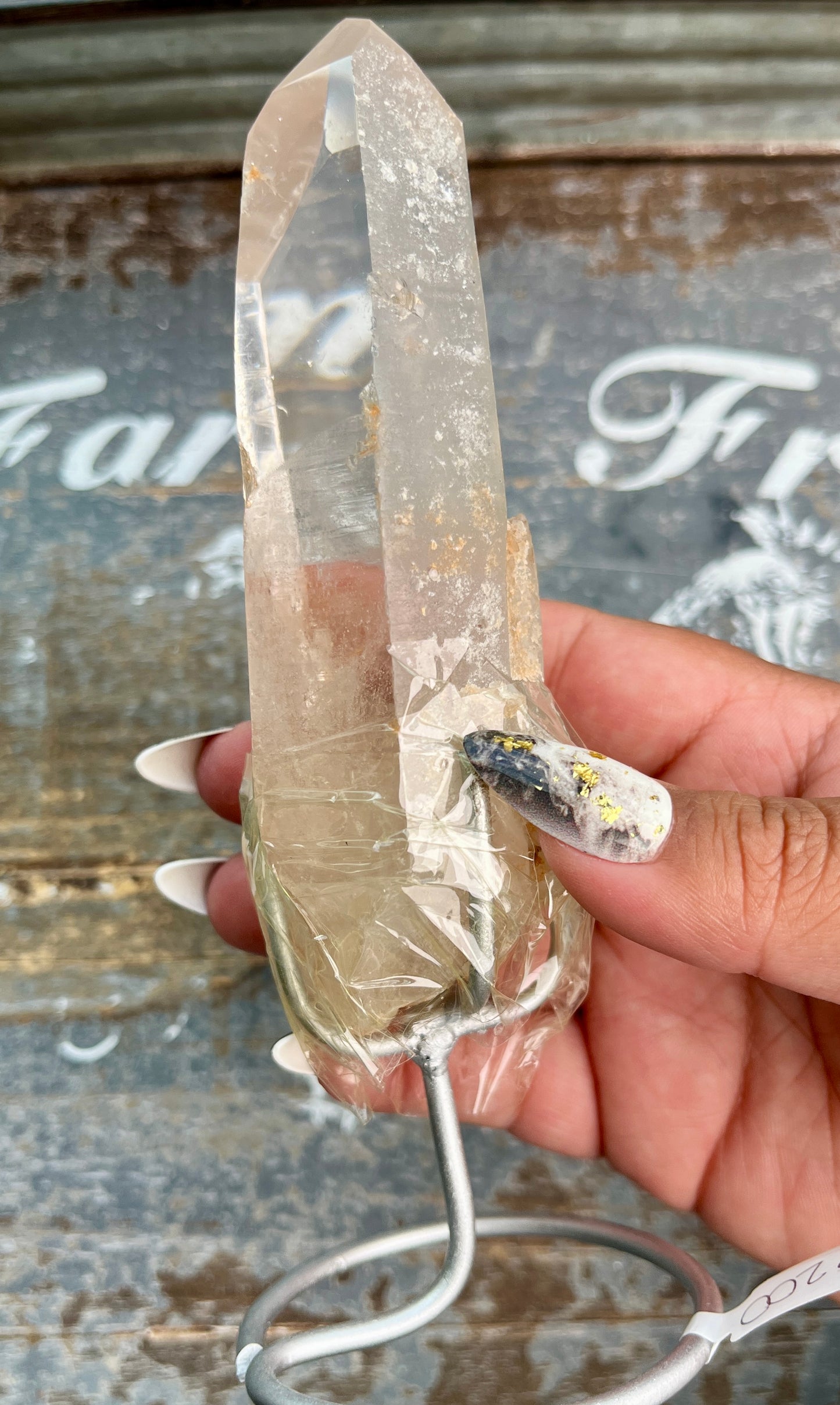 Gorgeous High Quality Lemurian on Custom Stand from Brazil