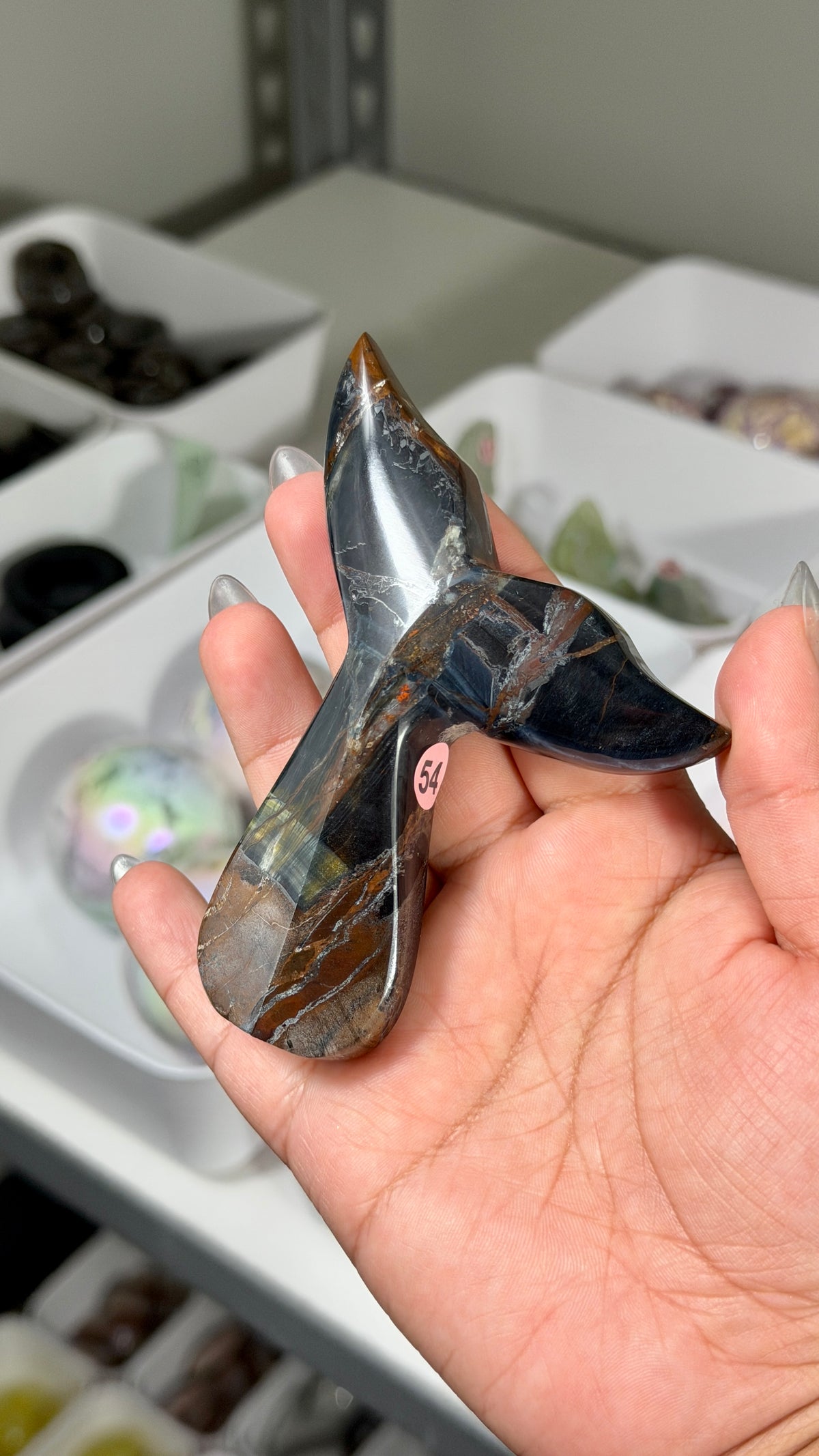 Gorgeous Blue Tigers Eye Whale Tail | Carved in India | Opt 54