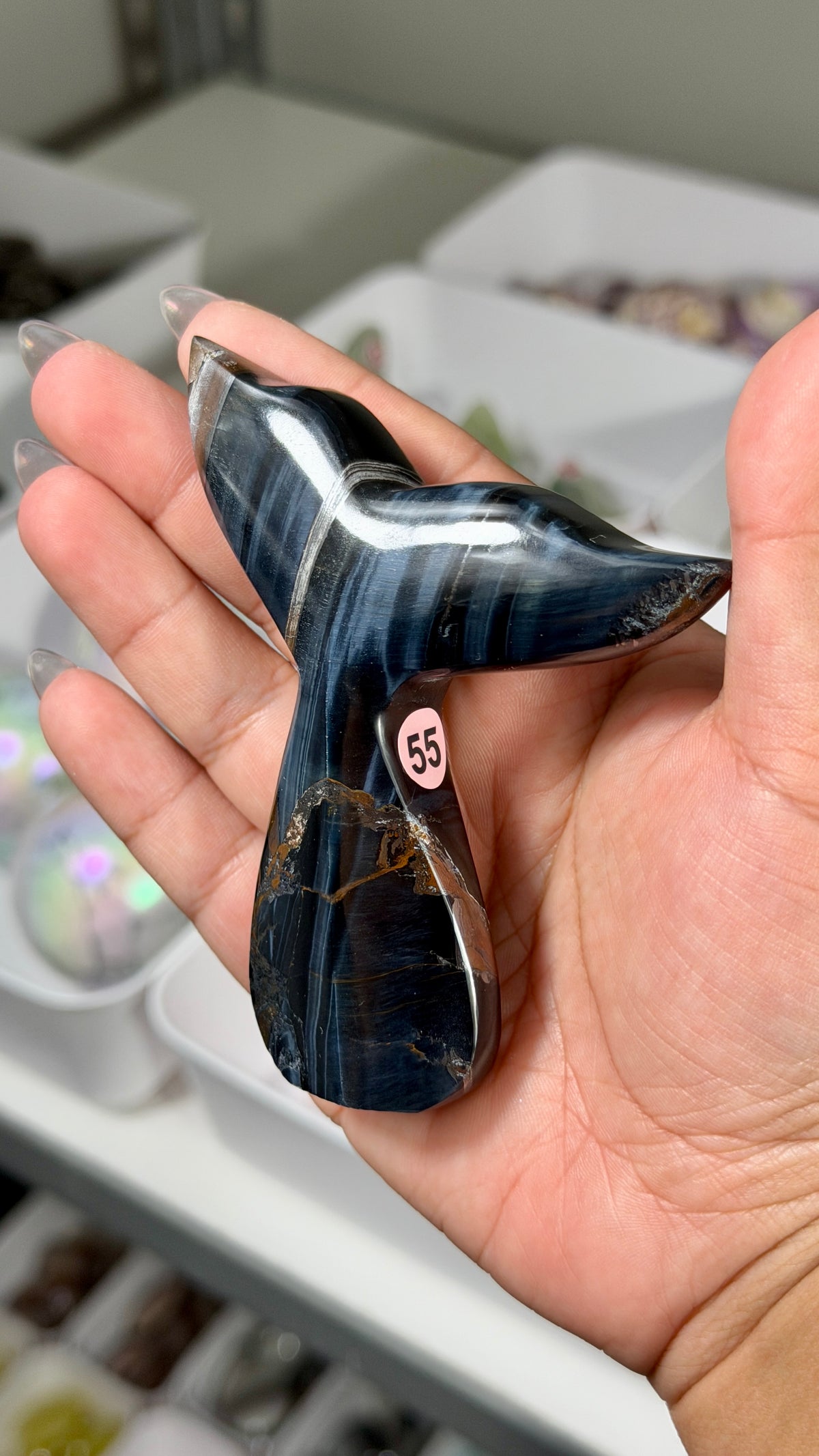 Gorgeous Blue Tigers Eye Whale Tail | Carved in India | Opt 55