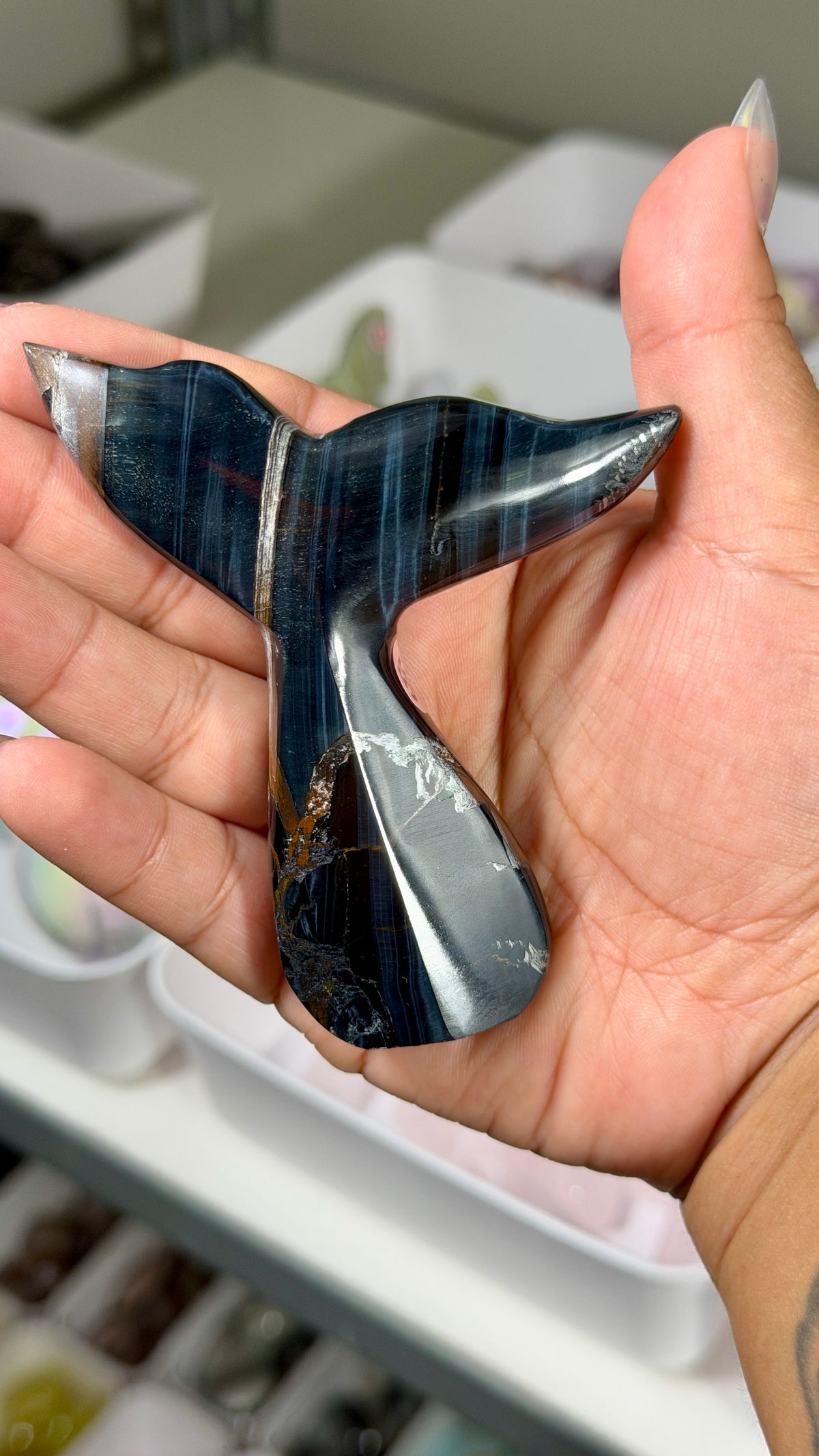 Gorgeous Blue Tigers Eye Whale Tail | Carved in India | Opt 55
