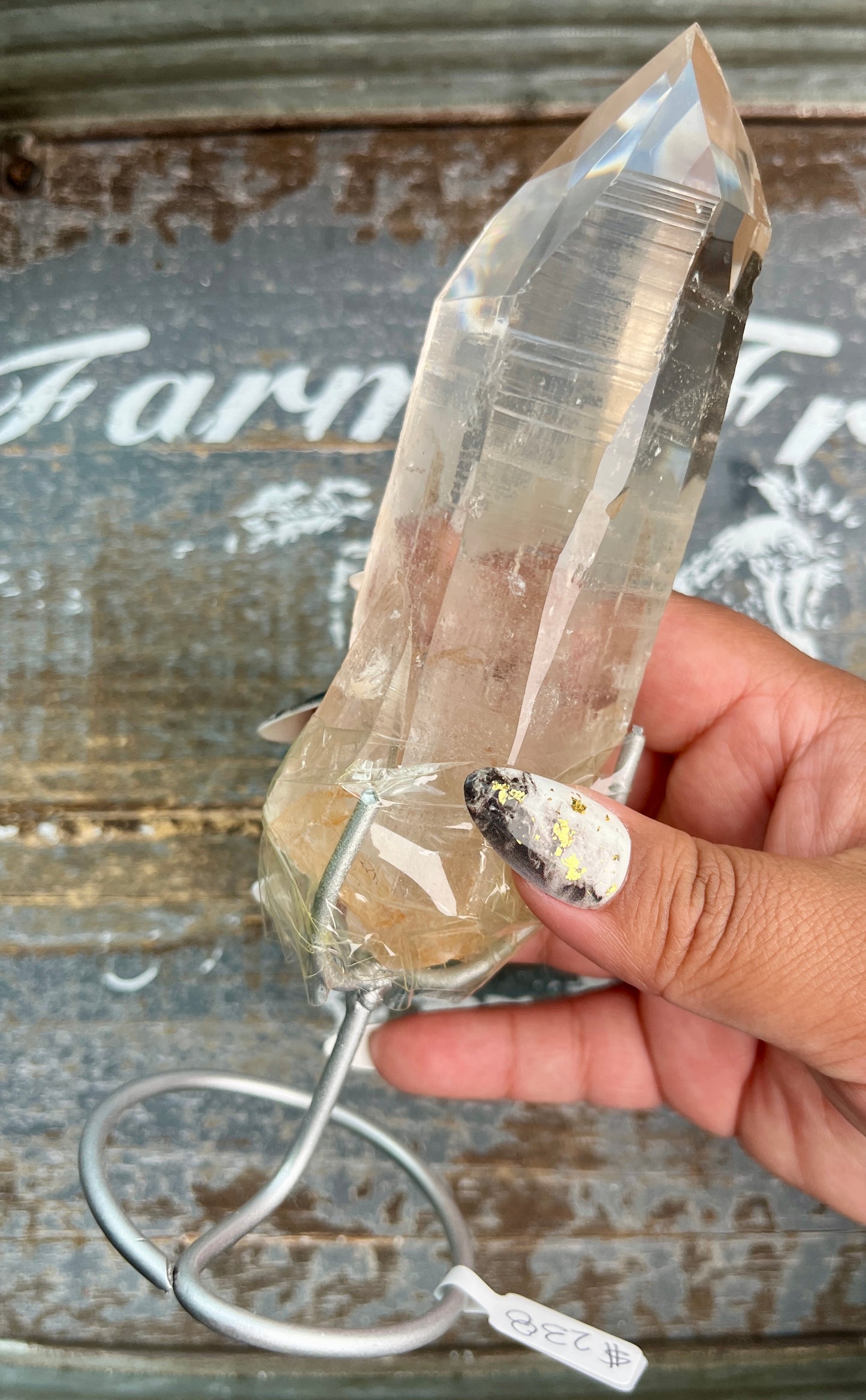 Gorgeous High Quality Lemurian on Custom Stand from Brazil