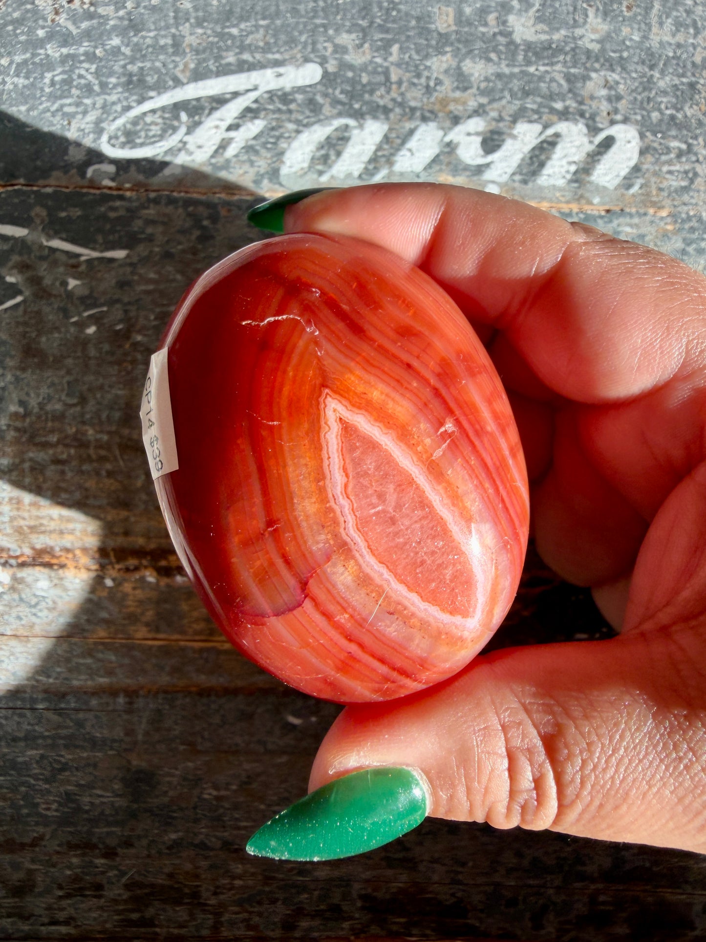 Gorgeous Carnelian + Orca Agate Palm Stone | CP14