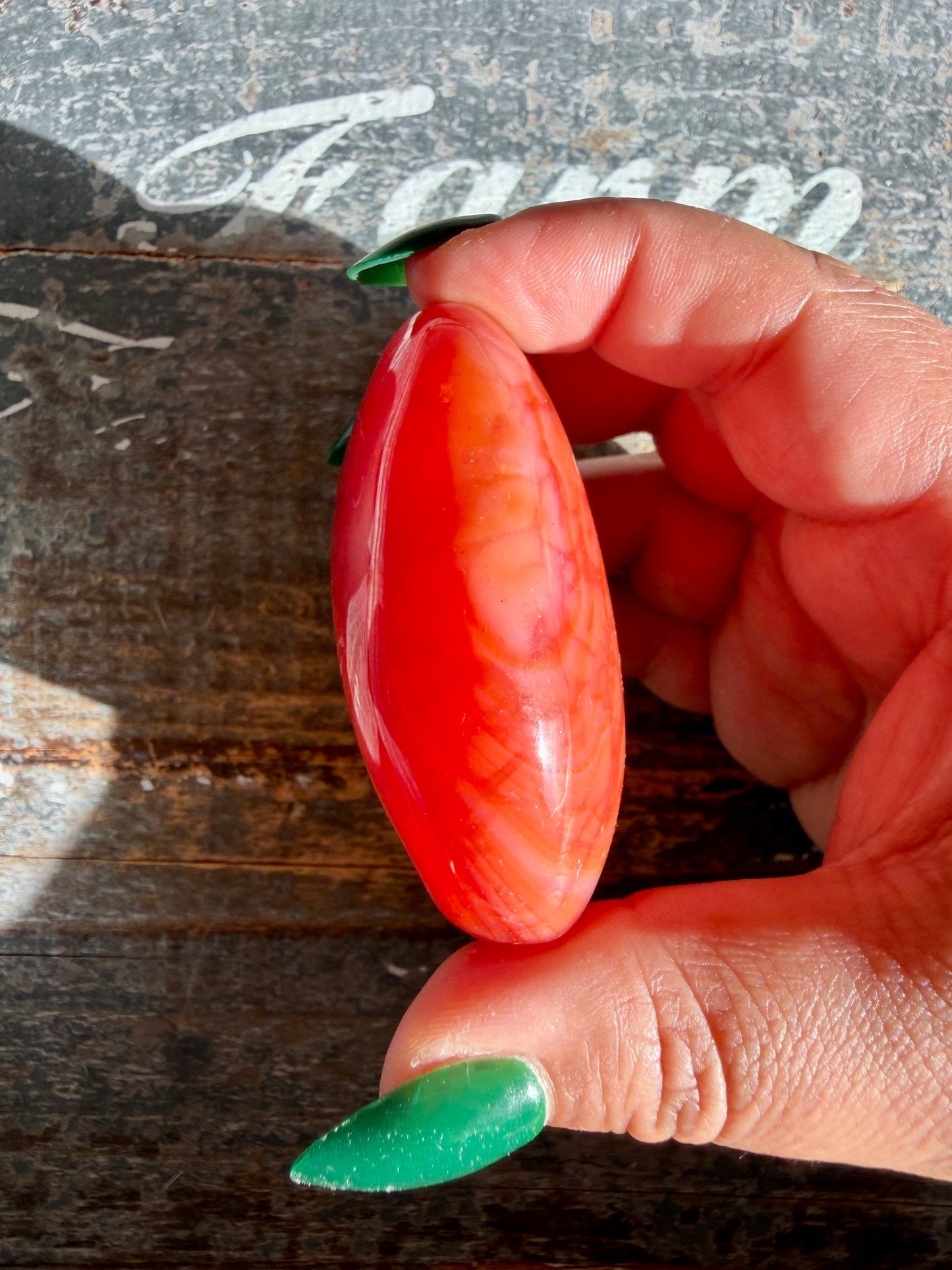 Gorgeous Carnelian + Orca Agate Palm Stone | CP14