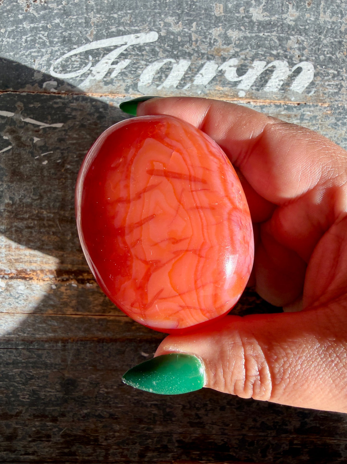 Gorgeous Carnelian + Orca Agate Palm Stone | CP14