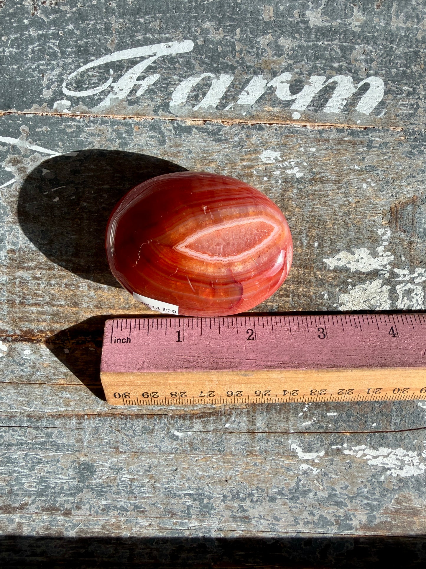 Gorgeous Carnelian + Orca Agate Palm Stone | CP14