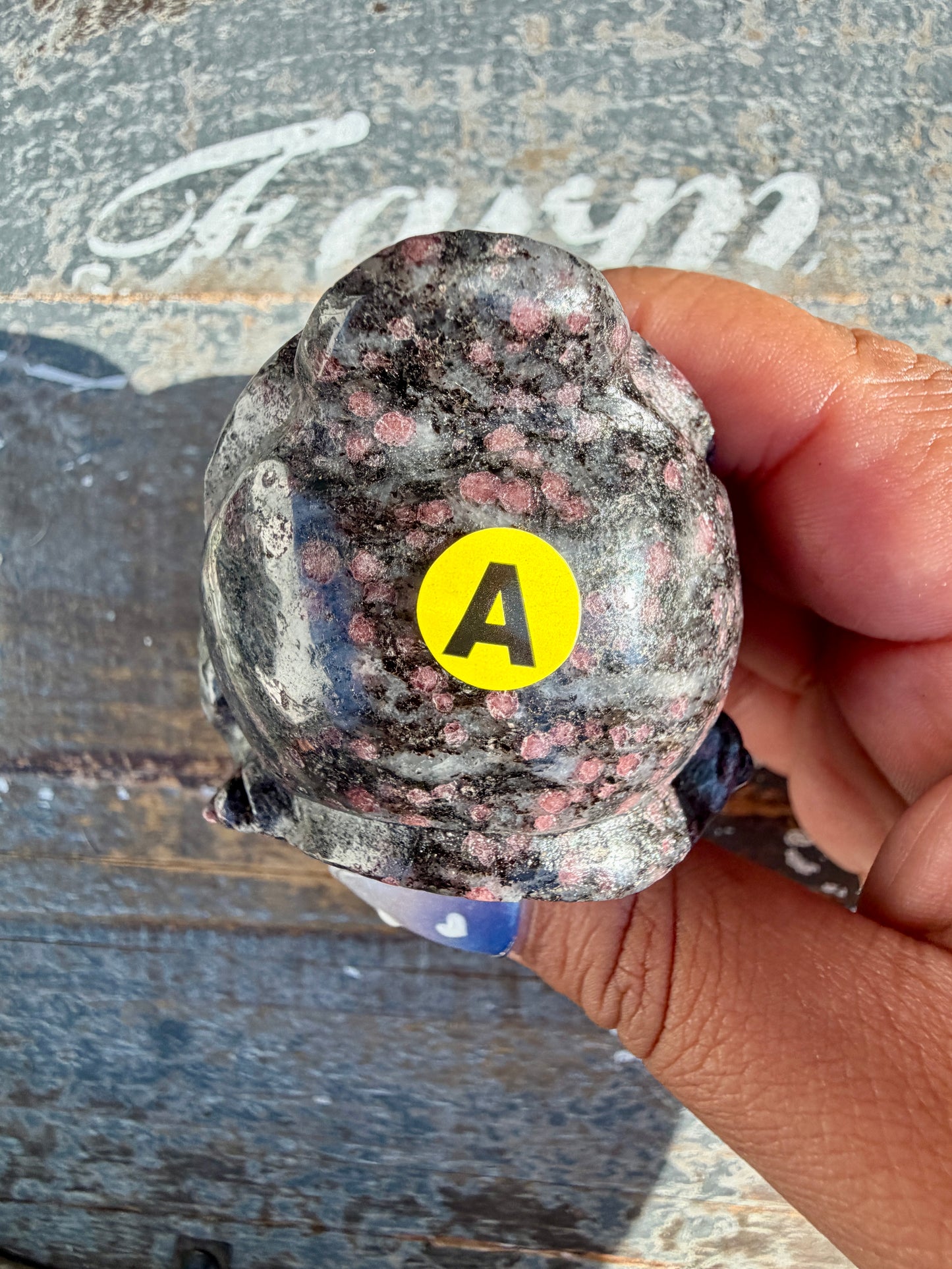 Garnet in Tourmaline Money Toad | Opt A