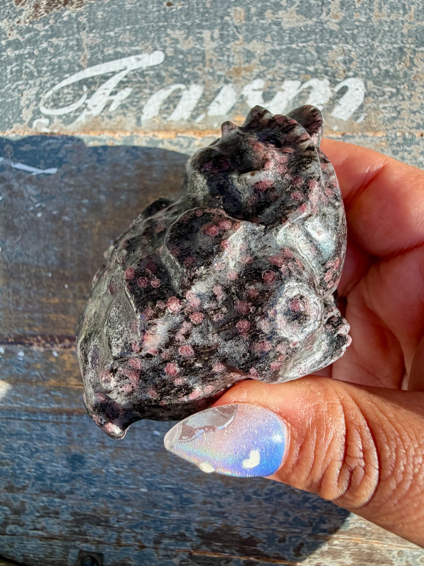 Garnet in Tourmaline Money Toad | Opt A