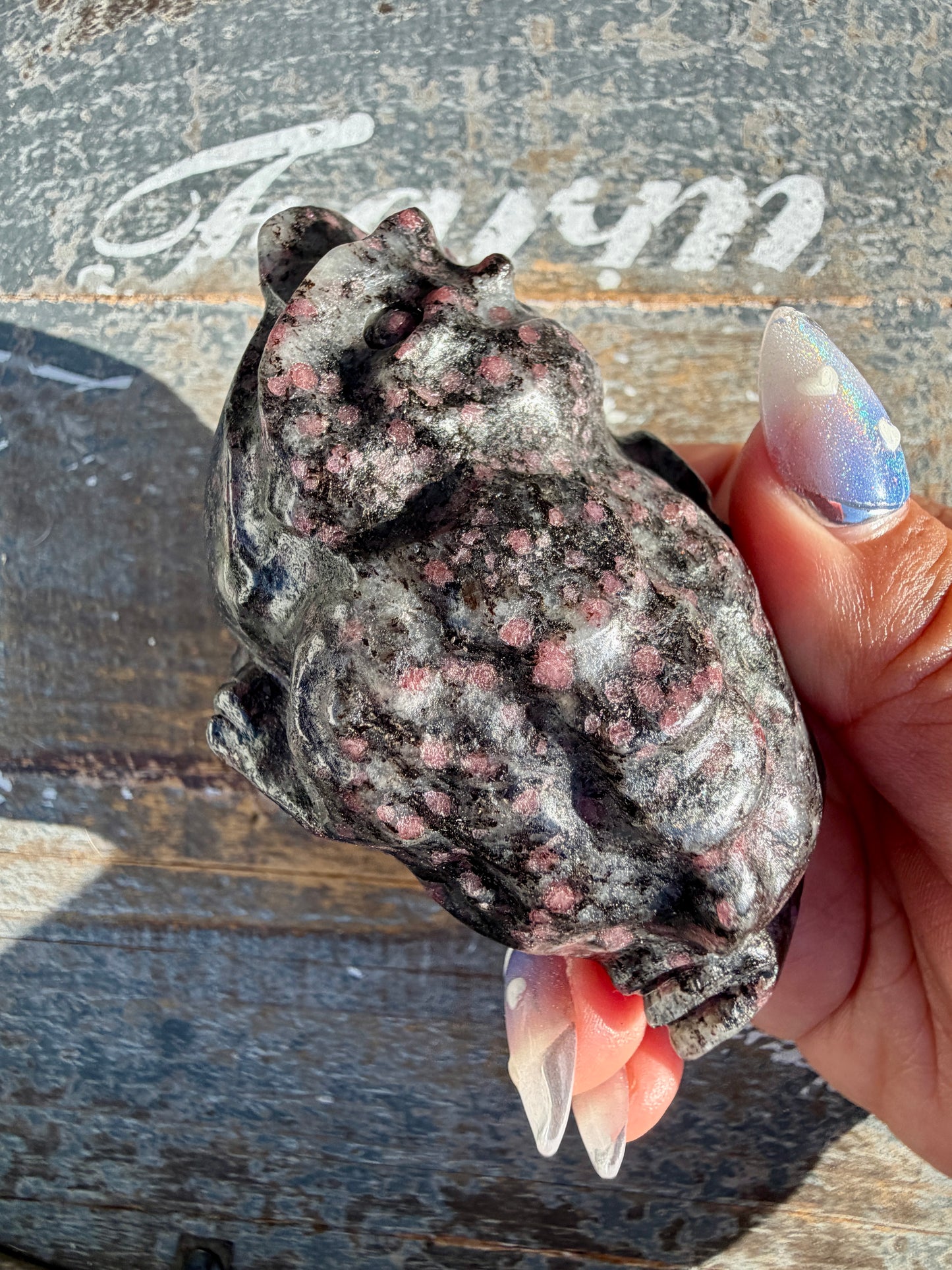 Garnet in Tourmaline Money Toad | Opt A