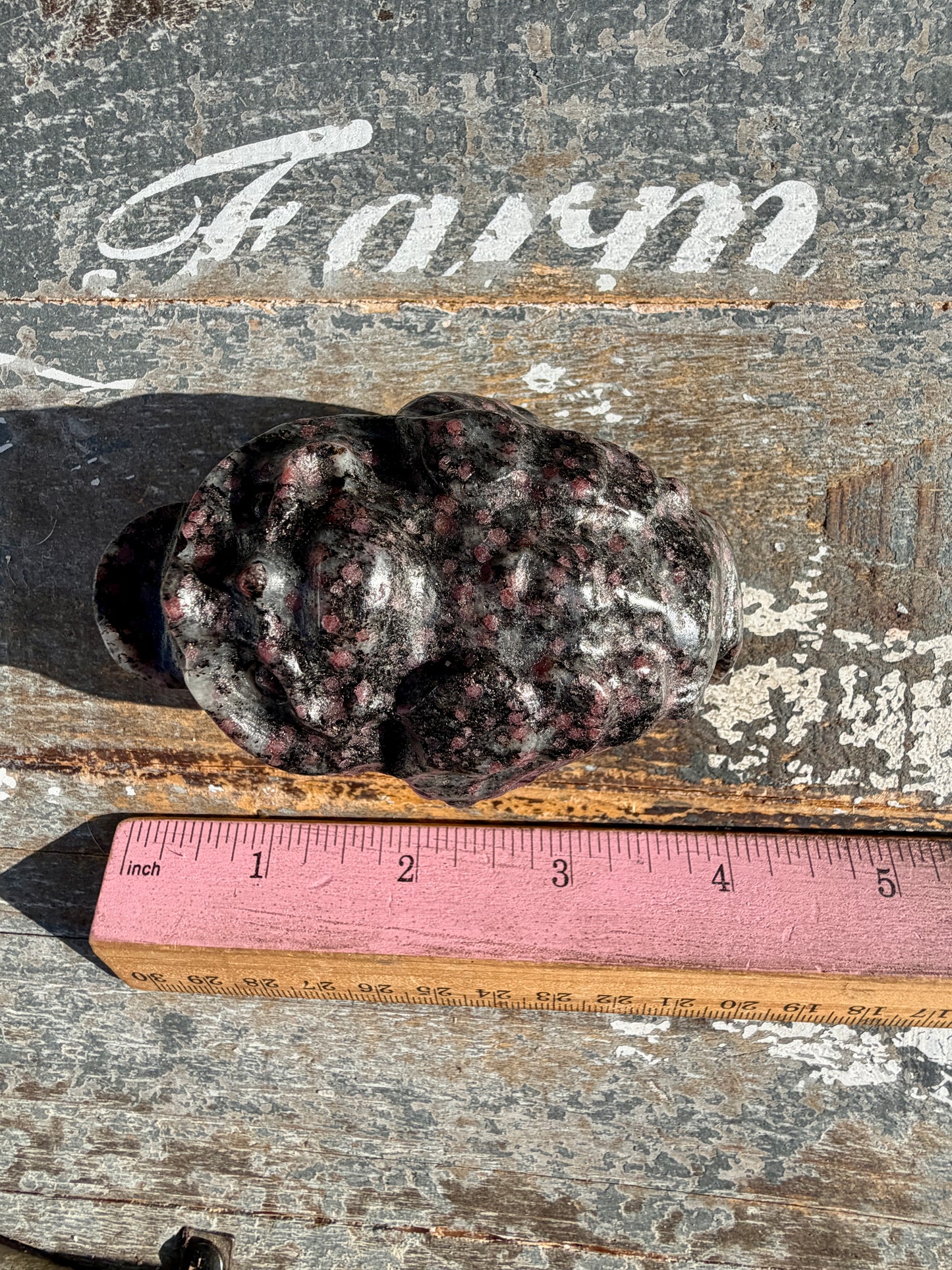 Garnet in Tourmaline Money Toad | Opt A