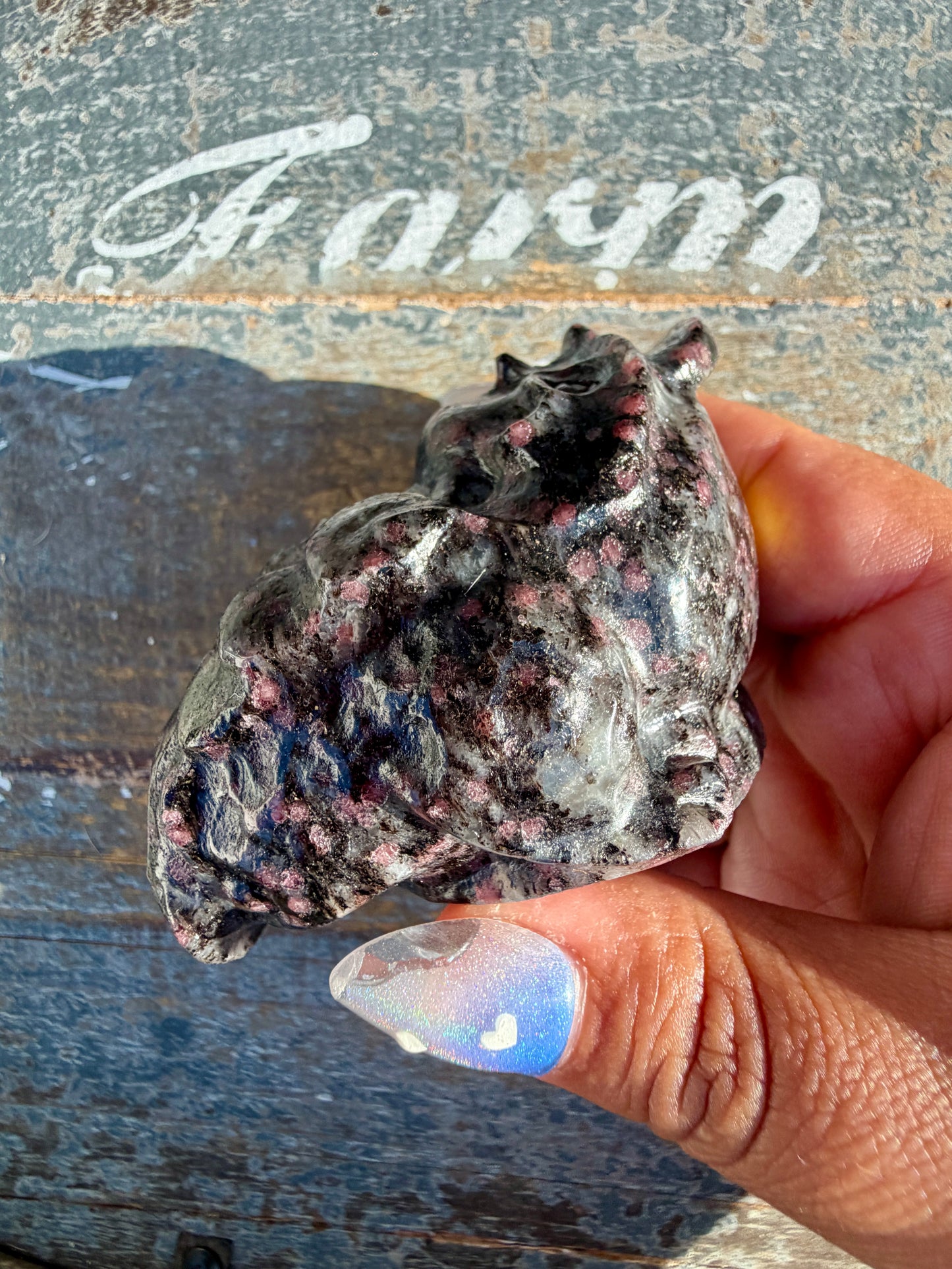 Garnet in Tourmaline Money Toad | Opt V