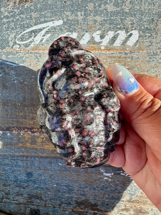 Garnet in Tourmaline Money Toad | Opt V