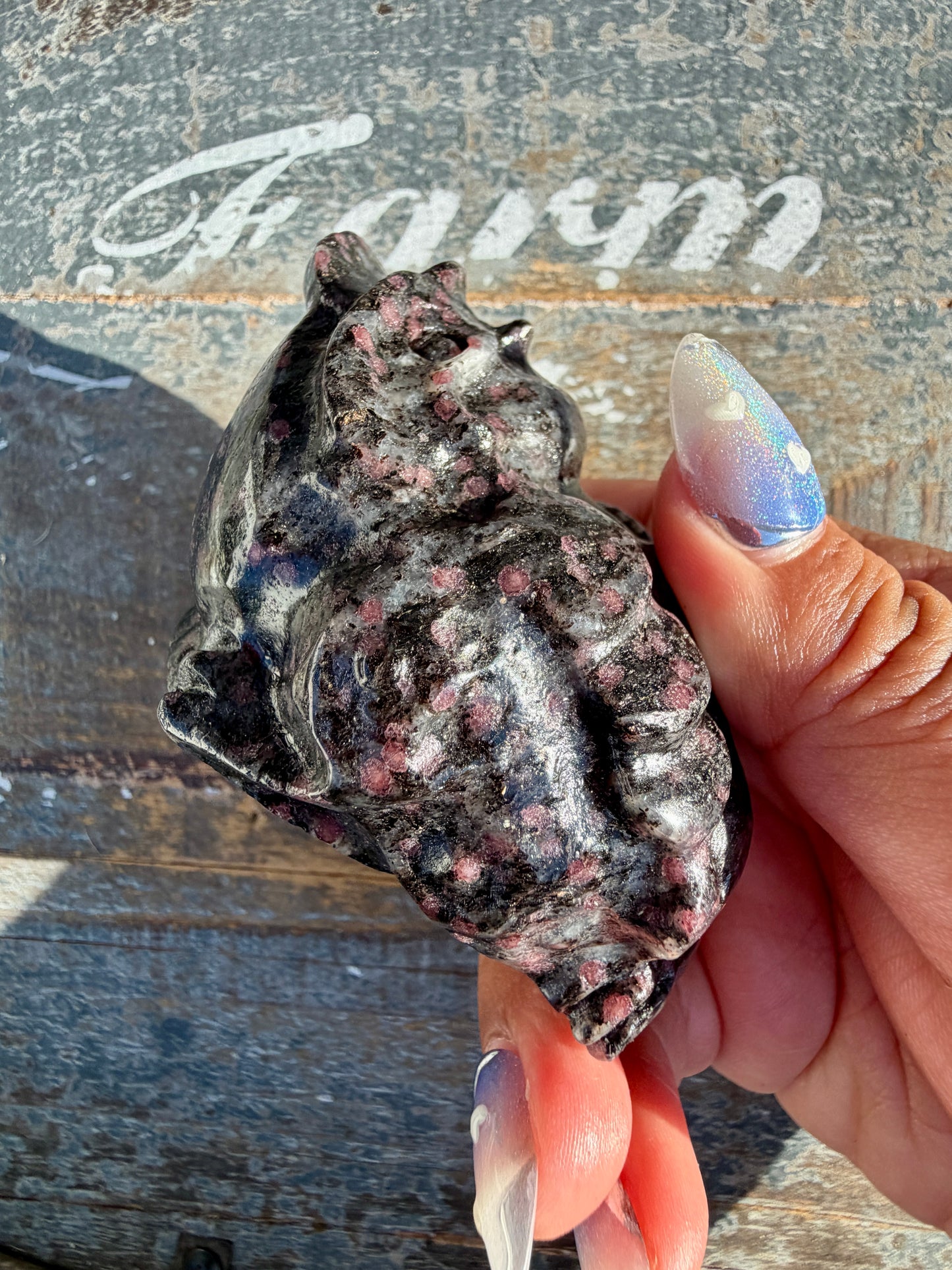 Garnet in Tourmaline Money Toad | Opt V