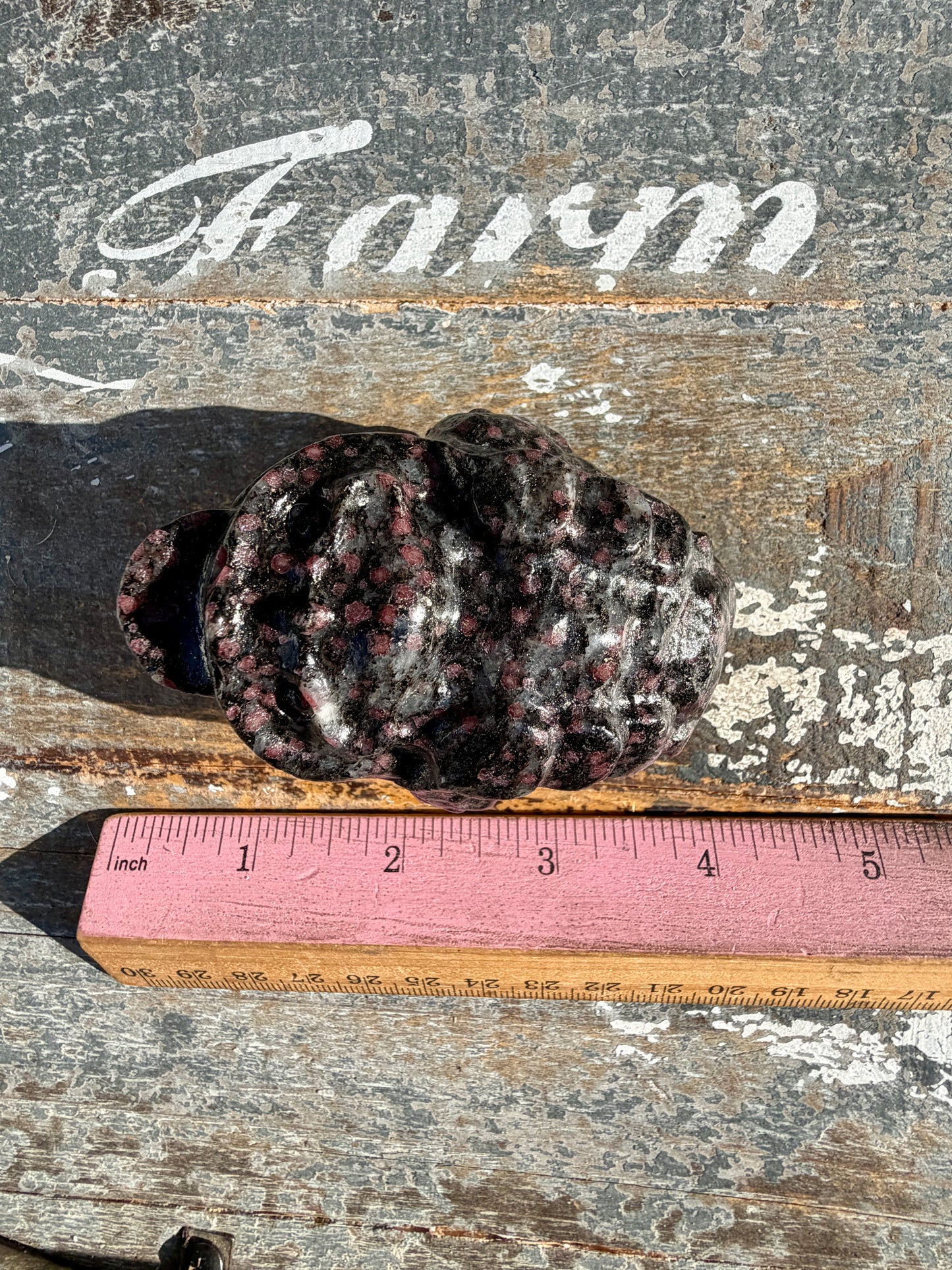 Garnet in Tourmaline Money Toad | Opt V