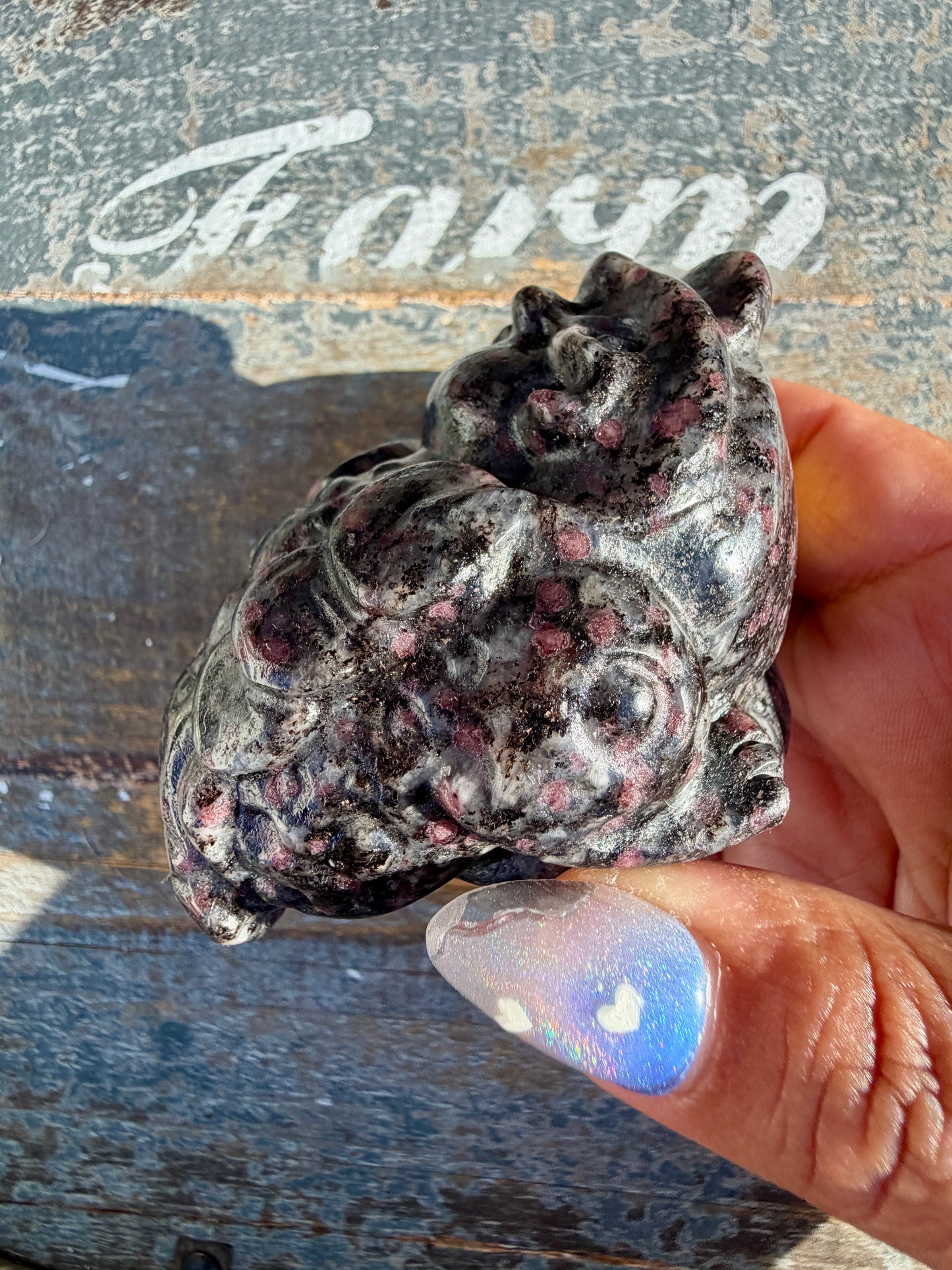 Garnet in Tourmaline Money Toad | Opt Z