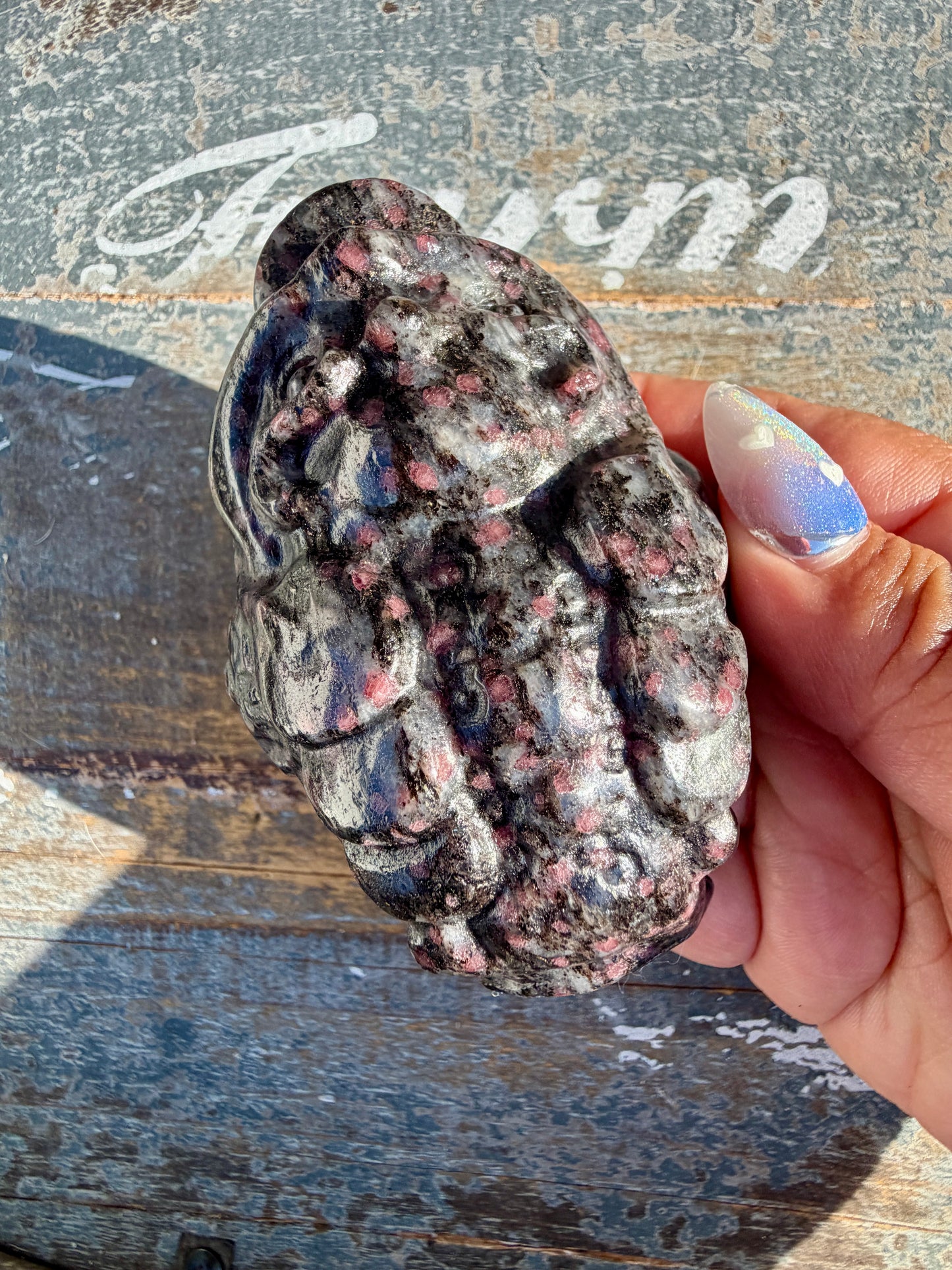 Garnet in Tourmaline Money Toad | Opt Z