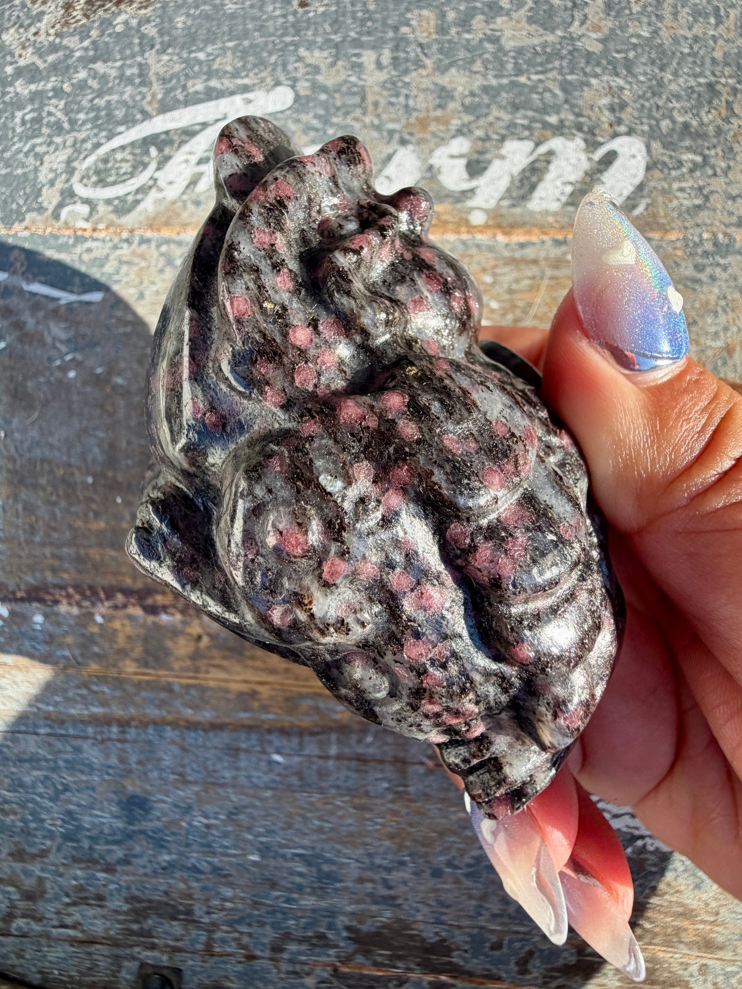 Garnet in Tourmaline Money Toad | Opt Z