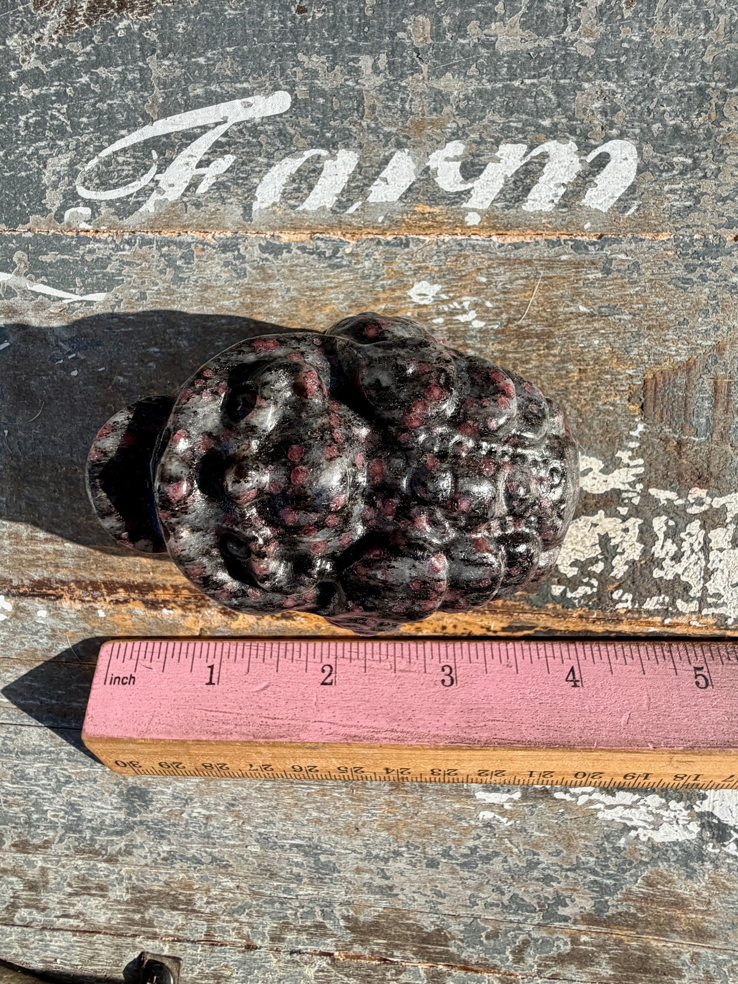 Garnet in Tourmaline Money Toad | Opt Z