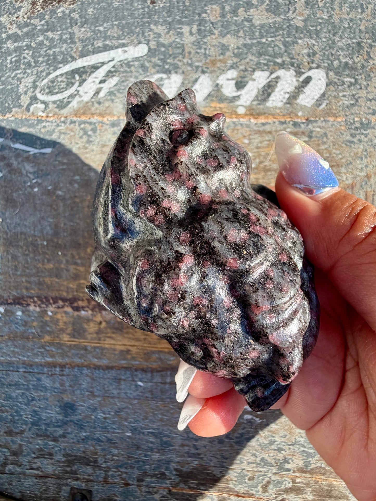 Garnet in Tourmaline Money Toad | Opt B