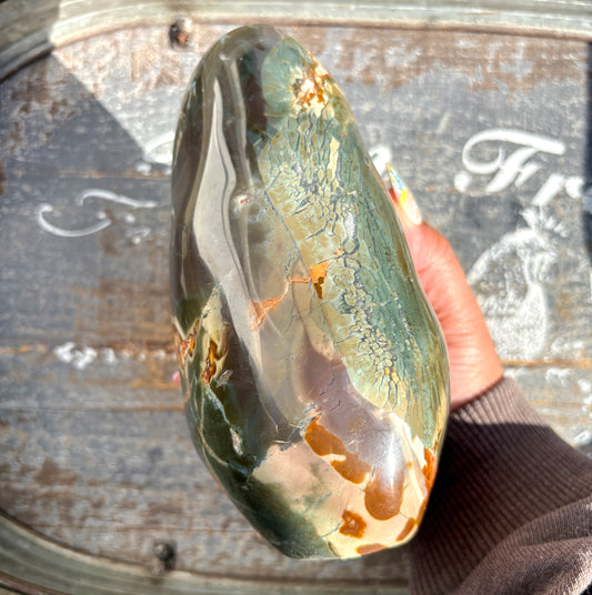 Gorgeous XL Polychrome Jasper Freeform | C