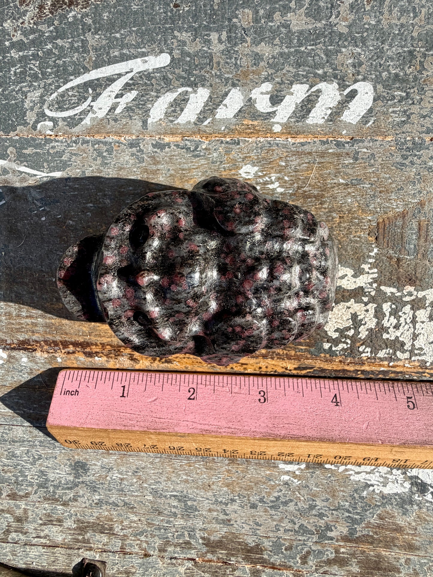 Garnet in Tourmaline Money Toad | Opt B