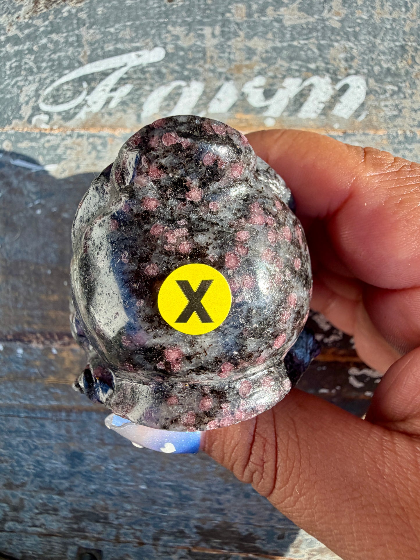 Garnet in Tourmaline Money Toad | Opt X