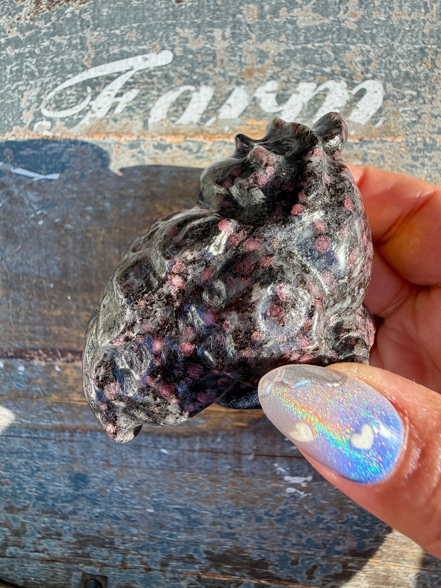 Garnet in Tourmaline Money Toad | Opt X