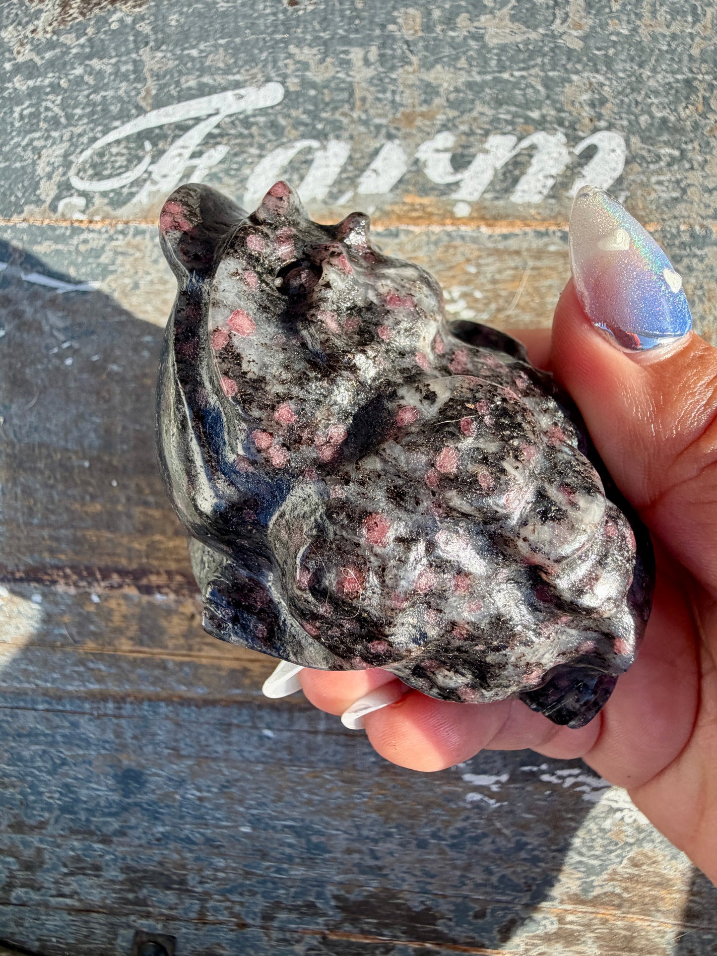 Garnet in Tourmaline Money Toad | Opt X
