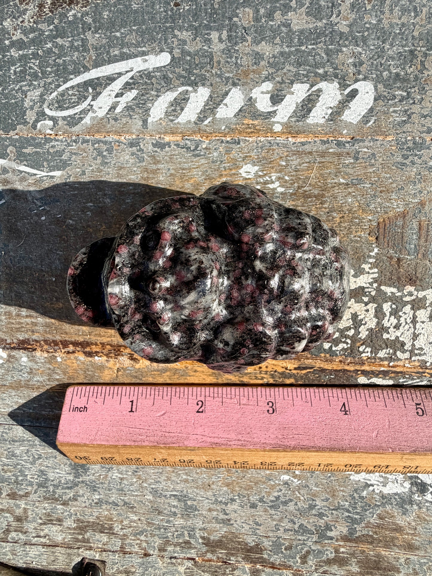 Garnet in Tourmaline Money Toad | Opt X