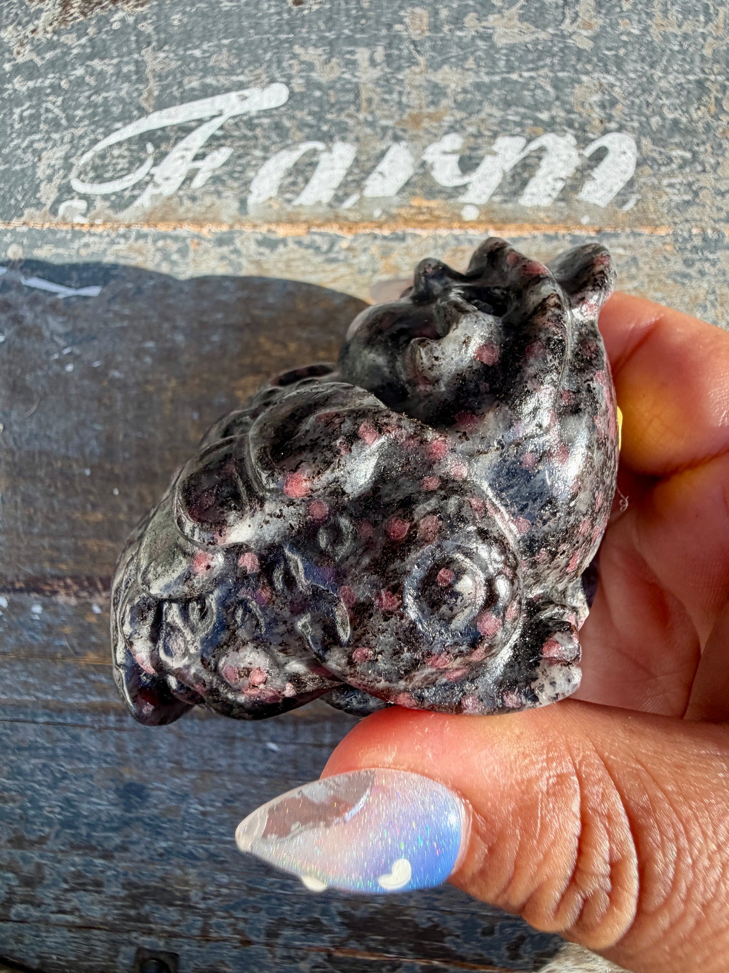 Garnet in Tourmaline Money Toad | Opt C