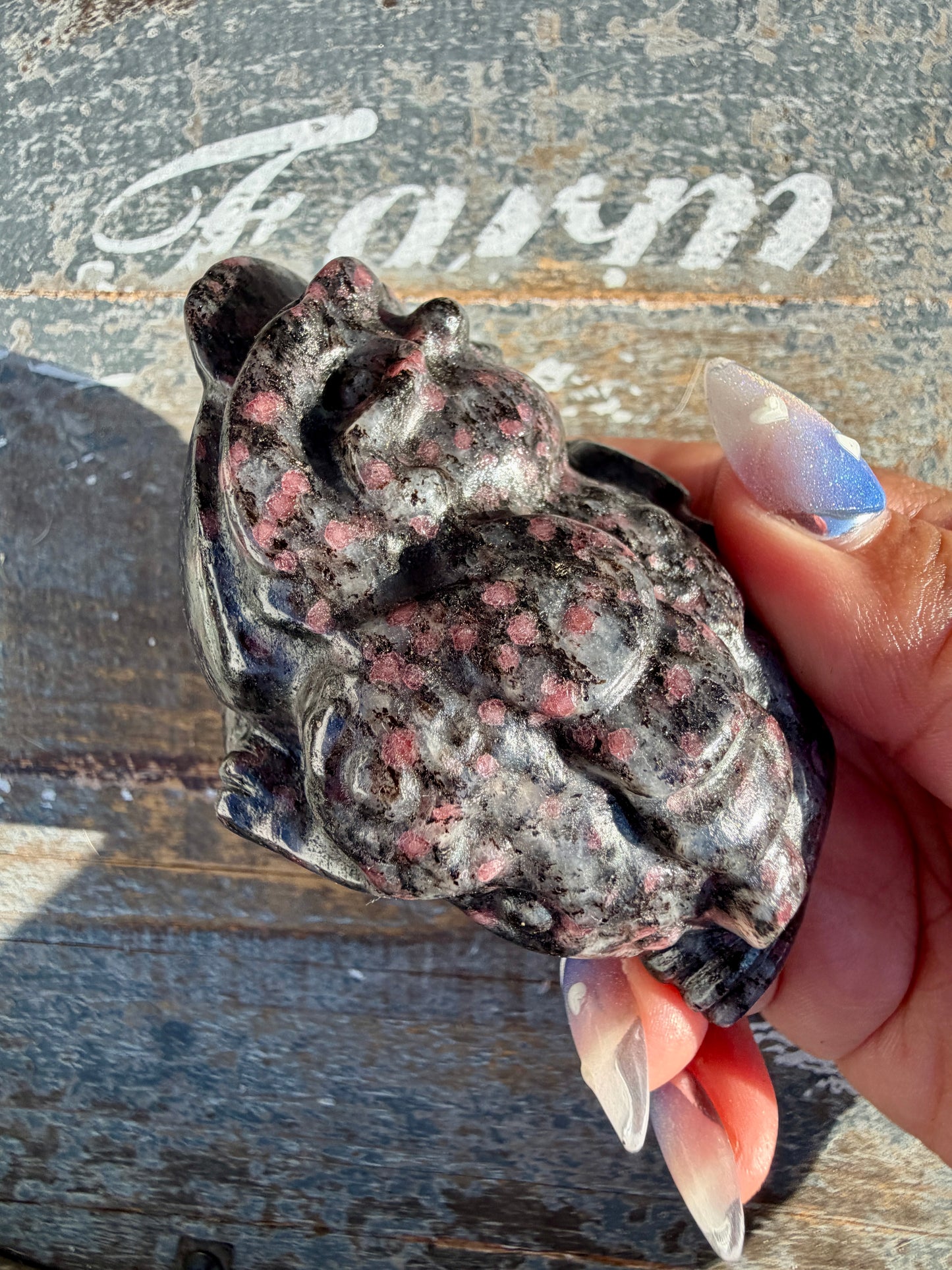 Garnet in Tourmaline Money Toad | Opt C