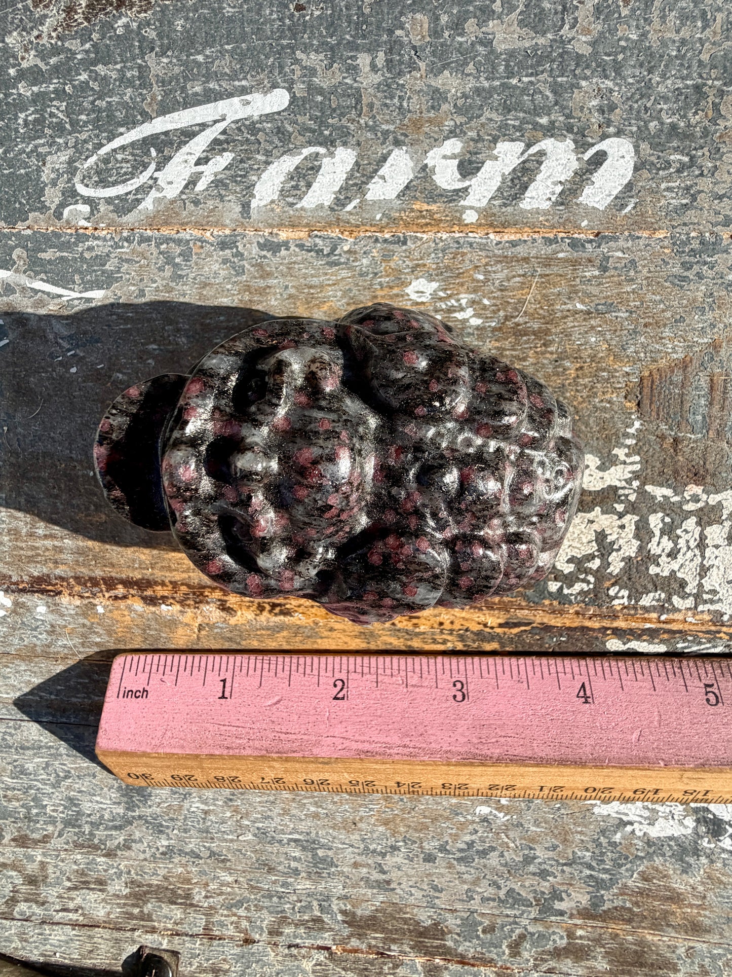 Garnet in Tourmaline Money Toad | Opt C