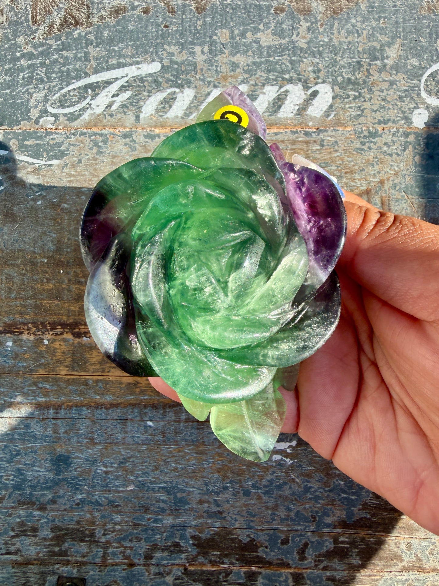 Gorgeous Rainbow Fluorite Flower on Stand | Opt Q