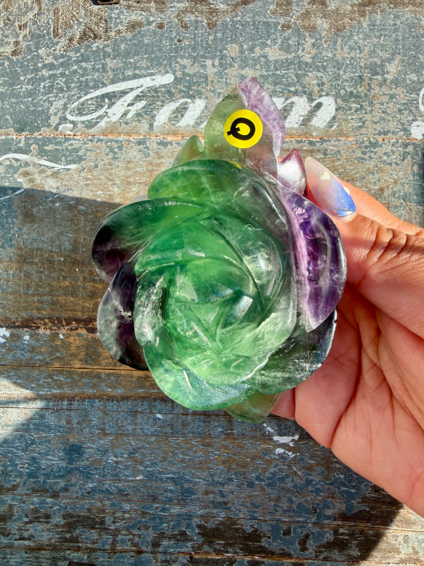 Gorgeous Rainbow Fluorite Flower on Stand | Opt Q