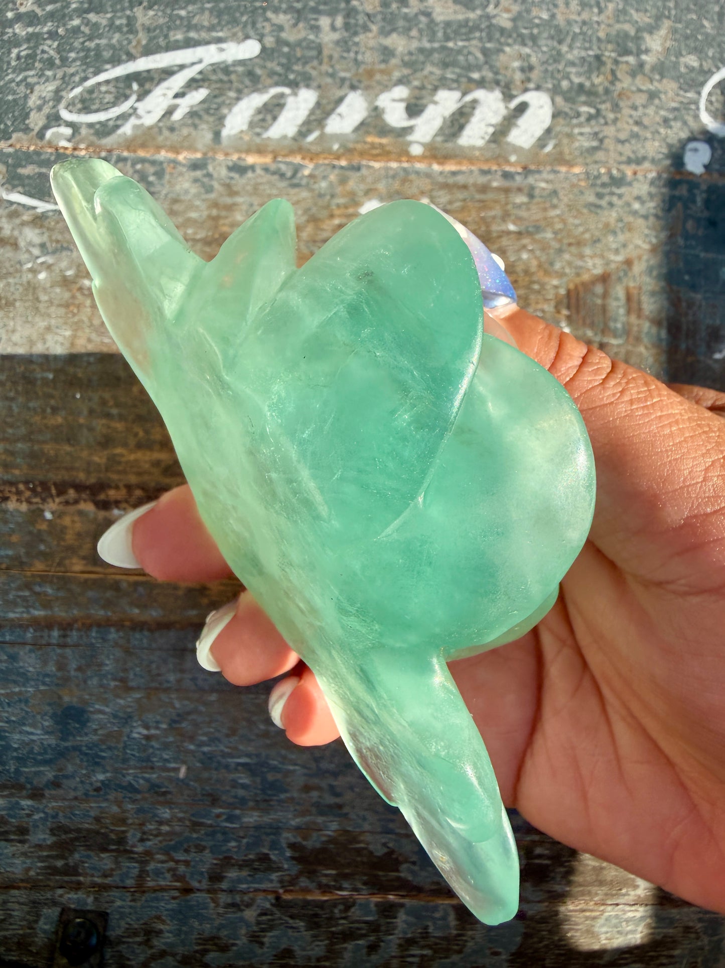 Gorgeous Rainbow Fluorite Flower on Stand | Opt L
