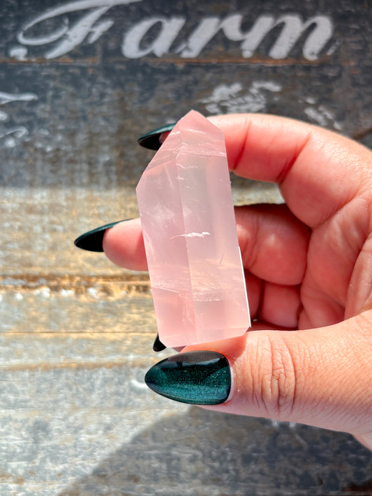 Gorgeous High Quality Rose Quartz Carving | H