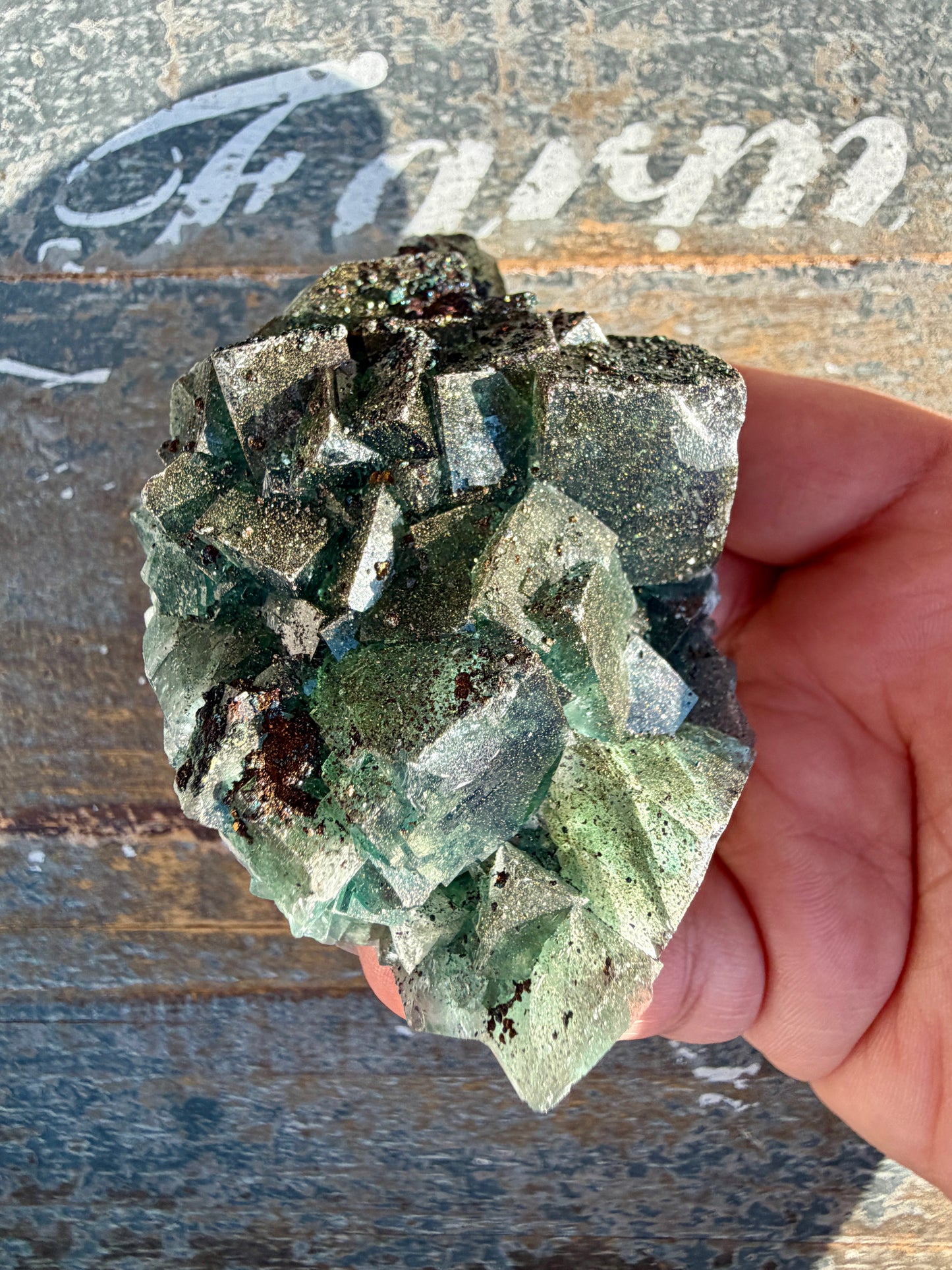 Gorgeous Cubic Dark Blue/Green Fluorite Specimen coated in Pyrite | China | Opt 60