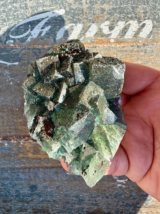 Gorgeous Cubic Dark Blue/Green Fluorite Specimen coated in Pyrite | China | Opt 60