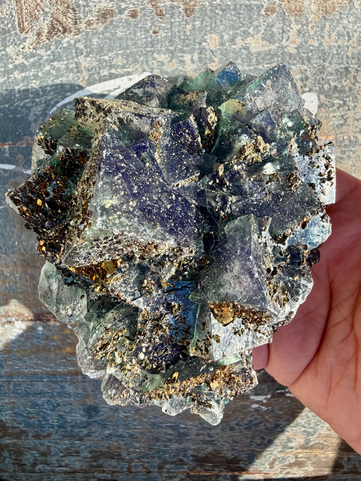 Gorgeous Cubic Dark Blue/Purple Fluorite Specimen coated in Pyrite | China | Opt 45