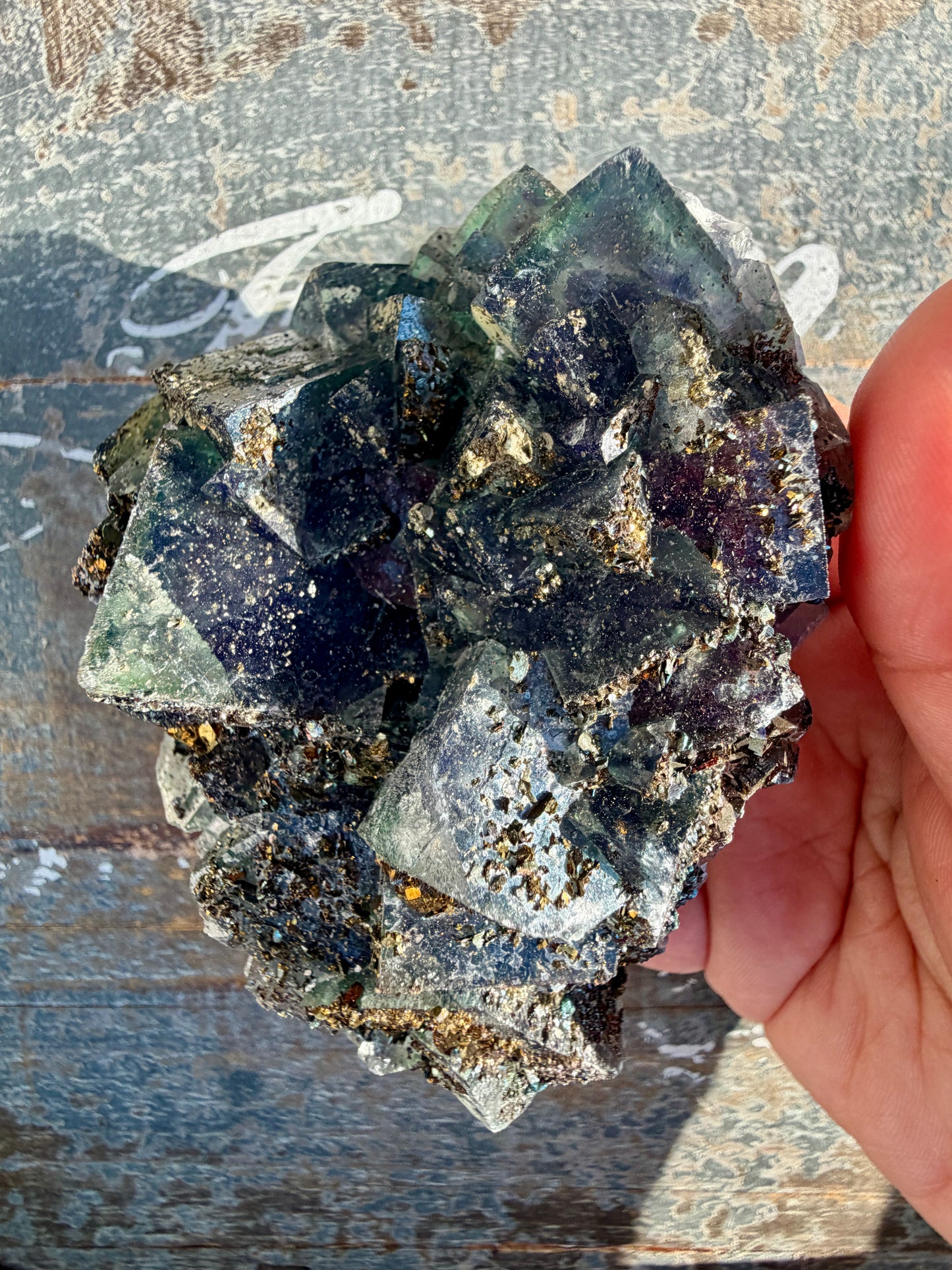 Gorgeous Cubic Dark Blue/Purple Fluorite Specimen coated in Pyrite | China | Opt 45