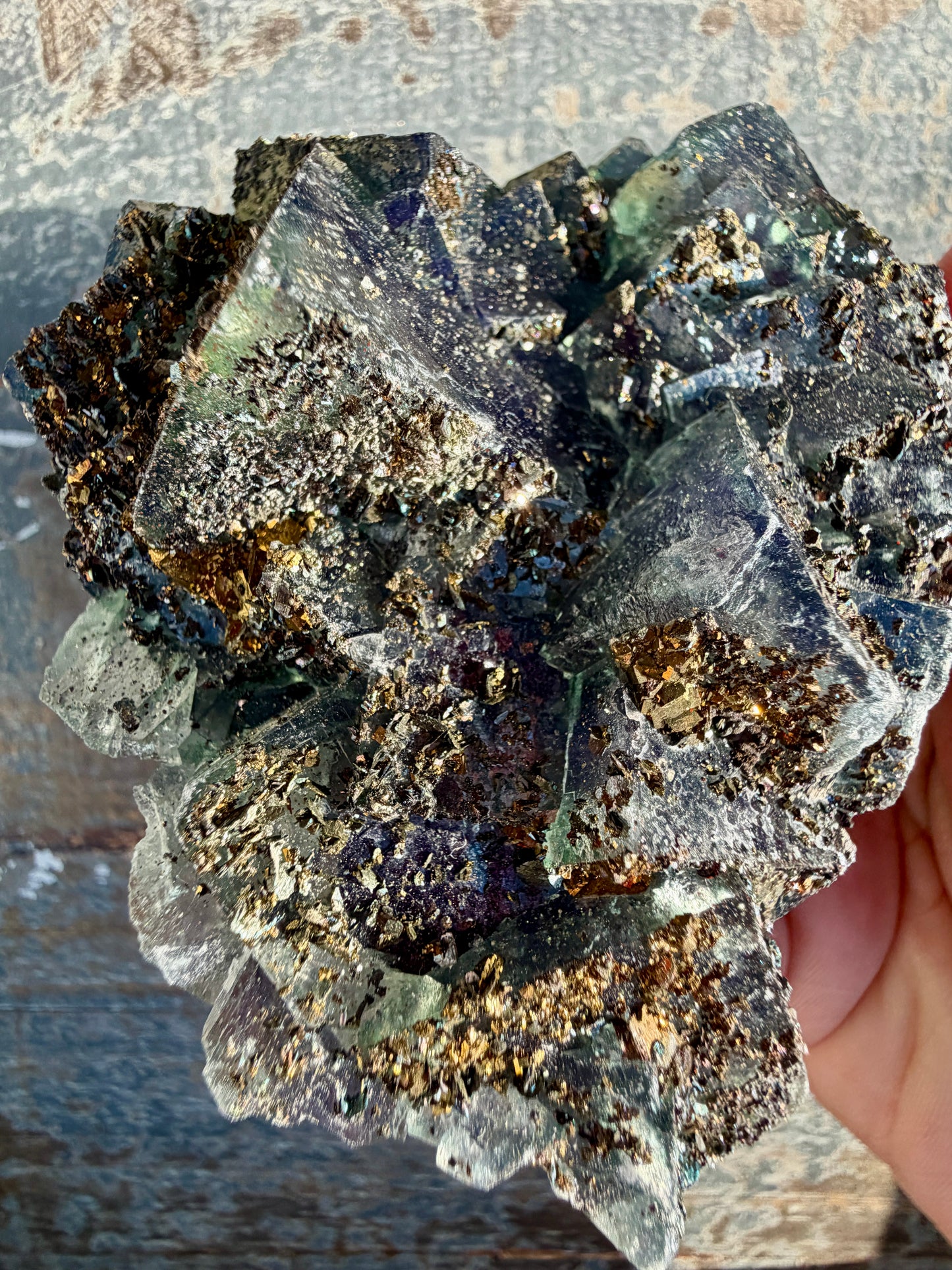 Gorgeous Cubic Dark Blue/Purple Fluorite Specimen coated in Pyrite | China | Opt 45